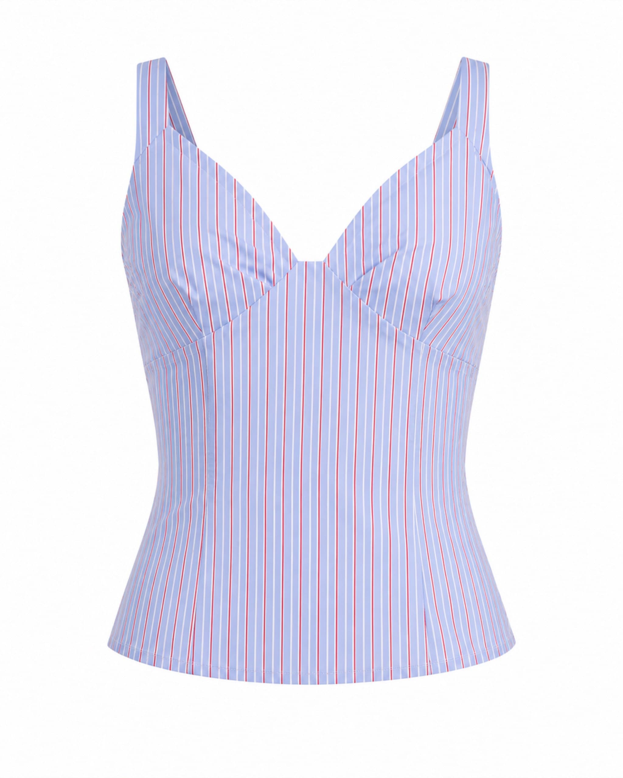 Blue Striped Top